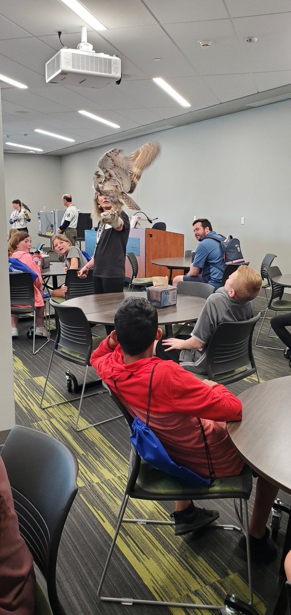 blumenthal_5's tweet photo. Next up:  Raptor Connection!  Seeing some rescued raptors up close and learning a little about them.  @ShellCreekVikes #lakeviewvikes https://t.co/KI5em0vit3