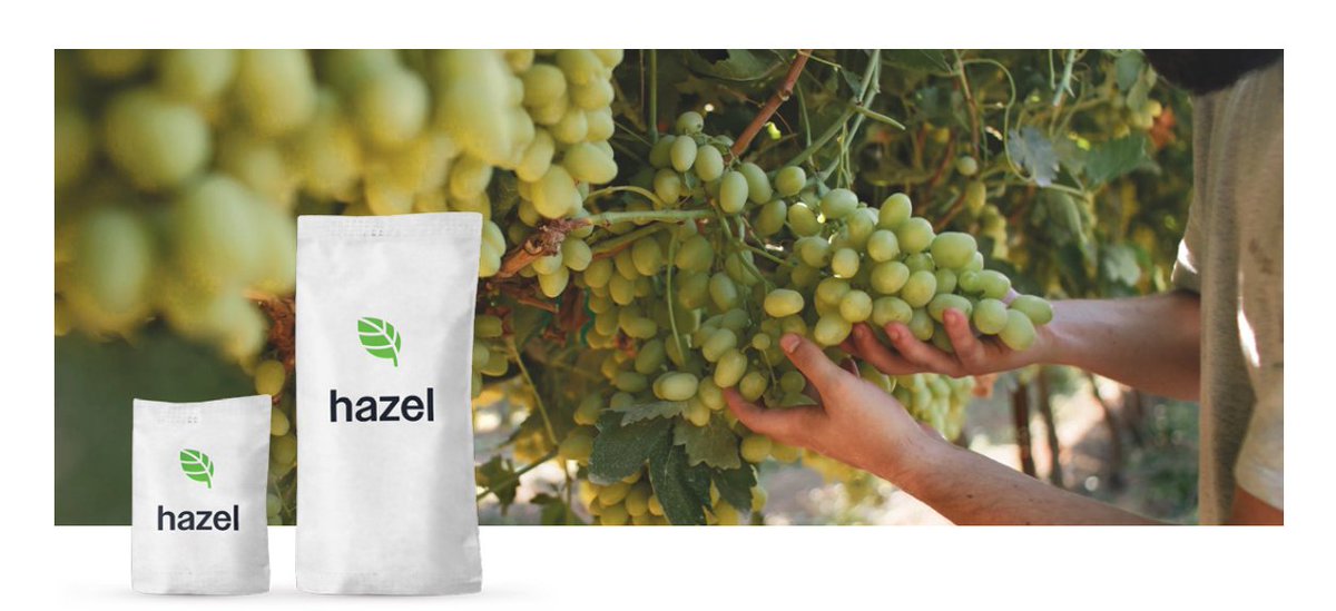 Hazel Technologies tweet media