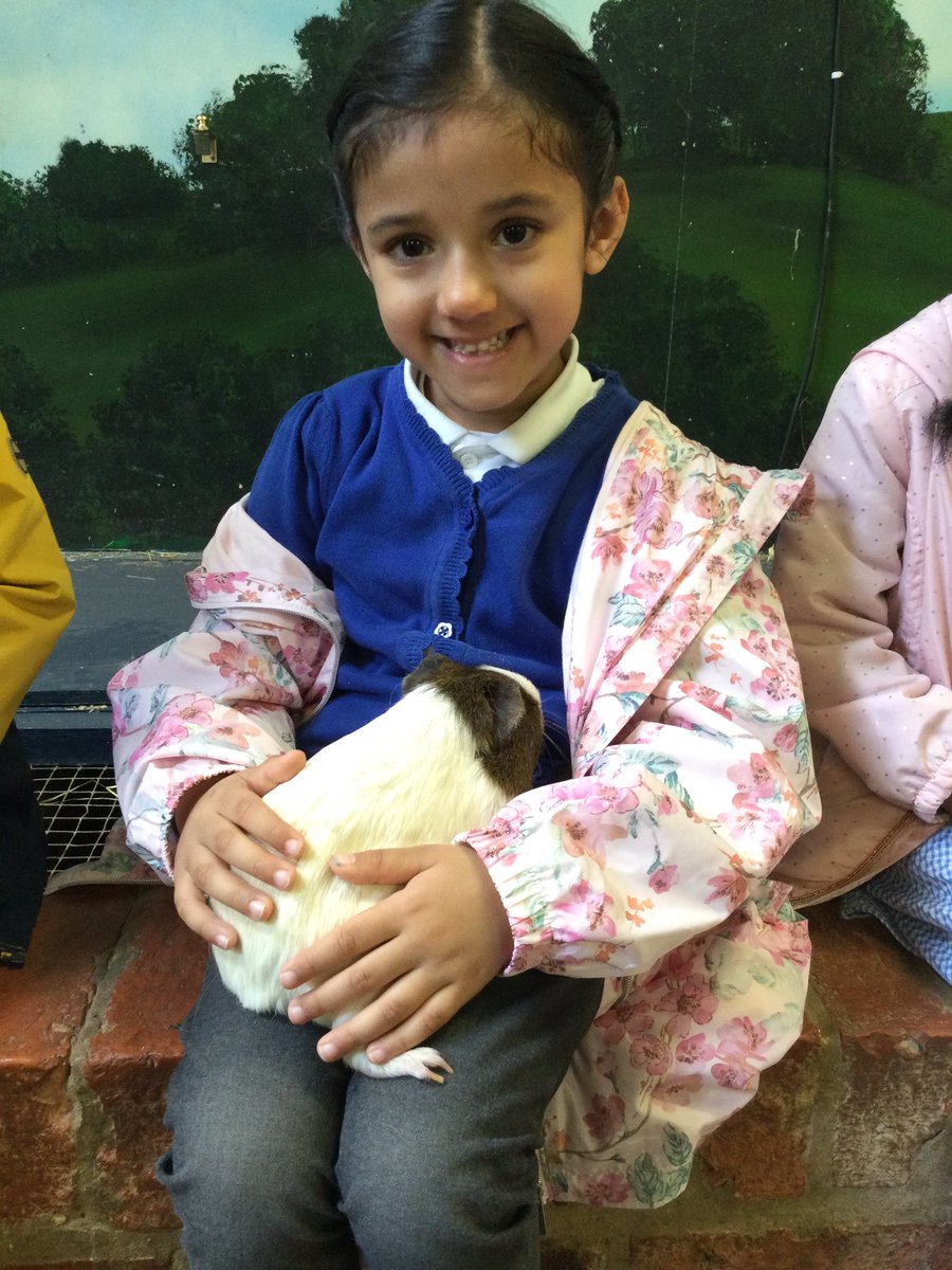gfprimarycov's tweet image. Reception had a fantastic time at Hatton Farm today. We loved seeing all the animals and having a play. We were tired on the way home! #GFReception #Hattonfarmfun 🐑🐄🐐🐖