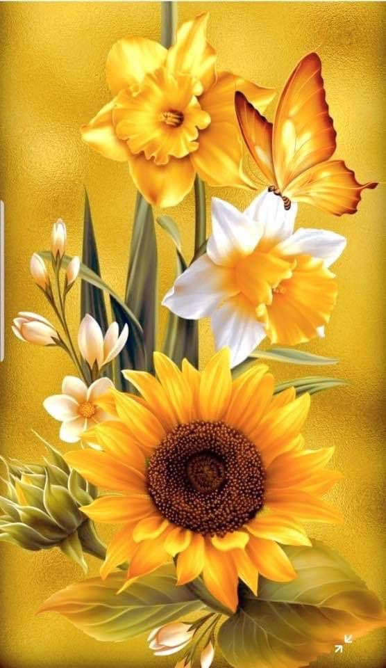 NATURALEZAV3's tweet image. Buenos días.