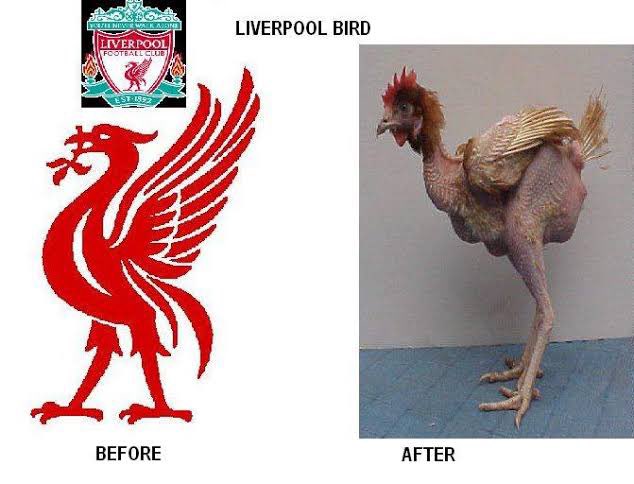 Onick Dharma tweet media