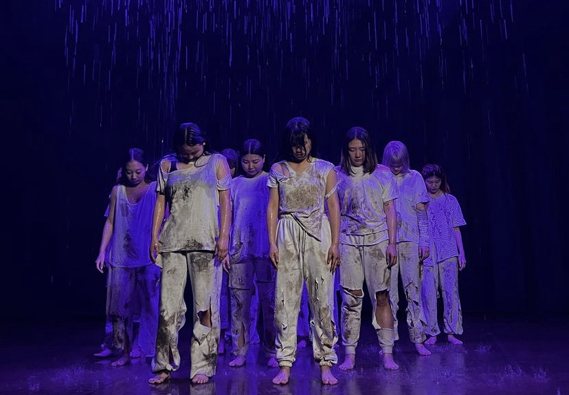 York U Dance tweet media