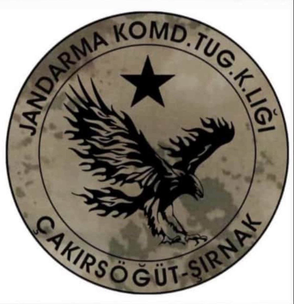 Besler-Dereler Giresumunu Dağı kuzeyinde 5 Yiğit ŞEHİT düştü.

🇹🇷 J. Uzm. Çvş. Gaffar MAYİK
🇹🇷 J. Uzm. Çvş. Serkan ÖLMEZ
🇹🇷 J. Uzm. Çvş. Bayram DOĞAN
🇹🇷 J. Uzm. Çvş. Özcan İLHAN
🇹🇷 Güv Korucusu Cevher Özgün

Ruhlarınız şad olsun aziz kahramanlar.

Başın sağ olsun şanlı tugay.