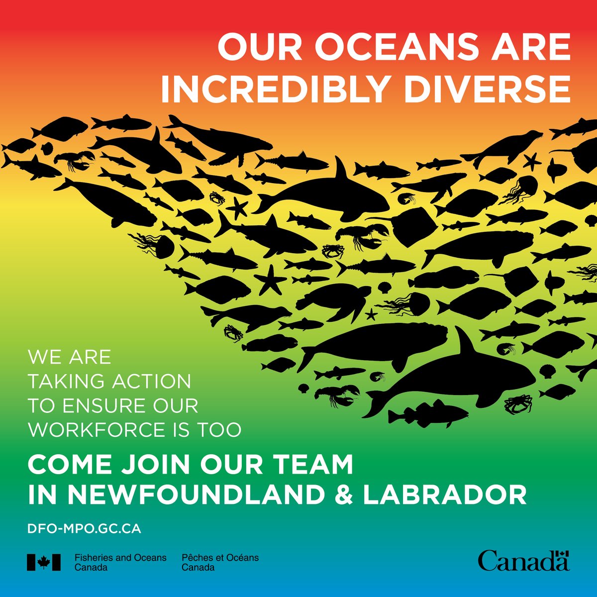 We’re seeking people with diverse backgrounds and experiences to join our team and fill various positions in Newfoundland and Labrador!

Does this interest you? Apply now! dfo-mpo-gc1.hiringplatform.ca/processes/1123…