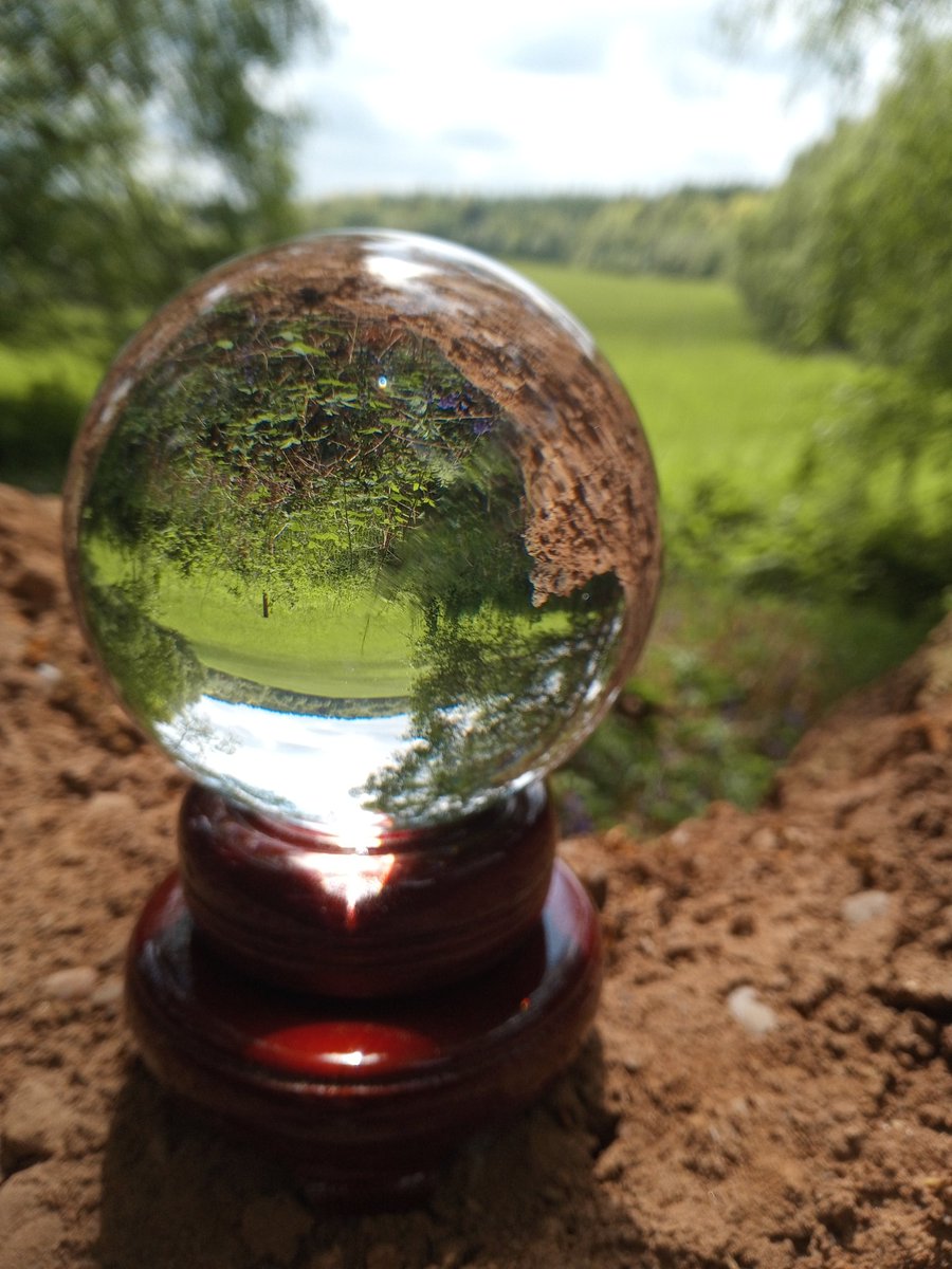 loopylynne67's tweet photo. First attempt at lensball photography.. Just a glass ball &amp; my phone camera https://t.co/JHpYw2GG8D
