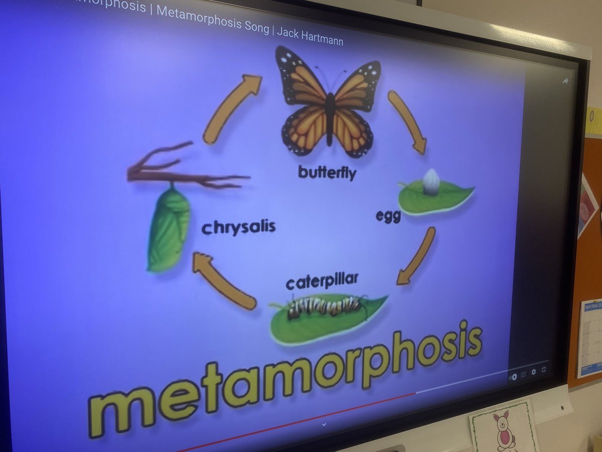 Kindergarten Hugh A Bennett CBE tweet media