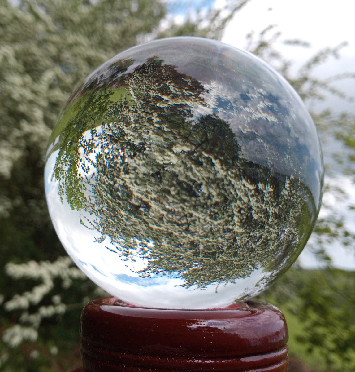 loopylynne67's tweet photo. First attempt at lensball photography.. Just a glass ball &amp; my phone camera https://t.co/JHpYw2GG8D