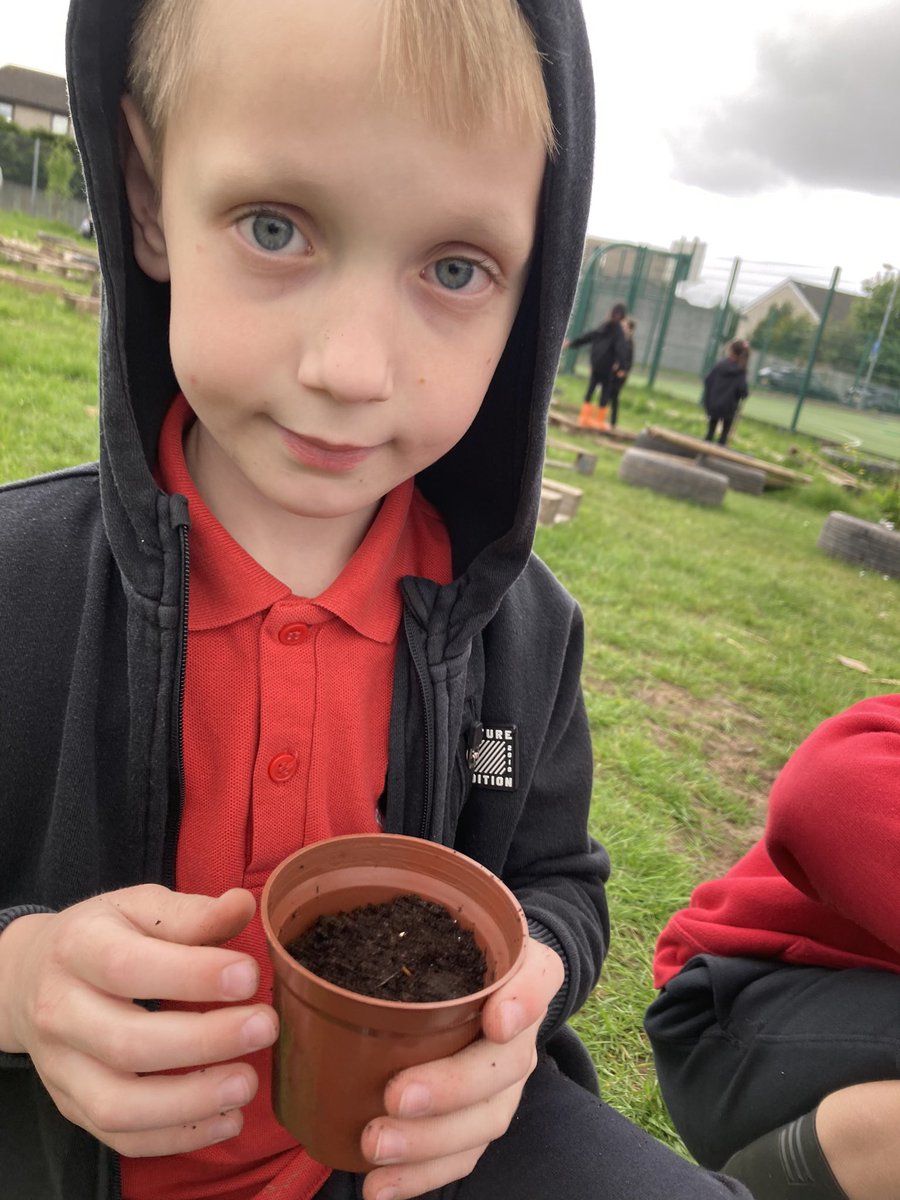 St Cadoc's Primary School & Nursery Class on Twitter "In preparation