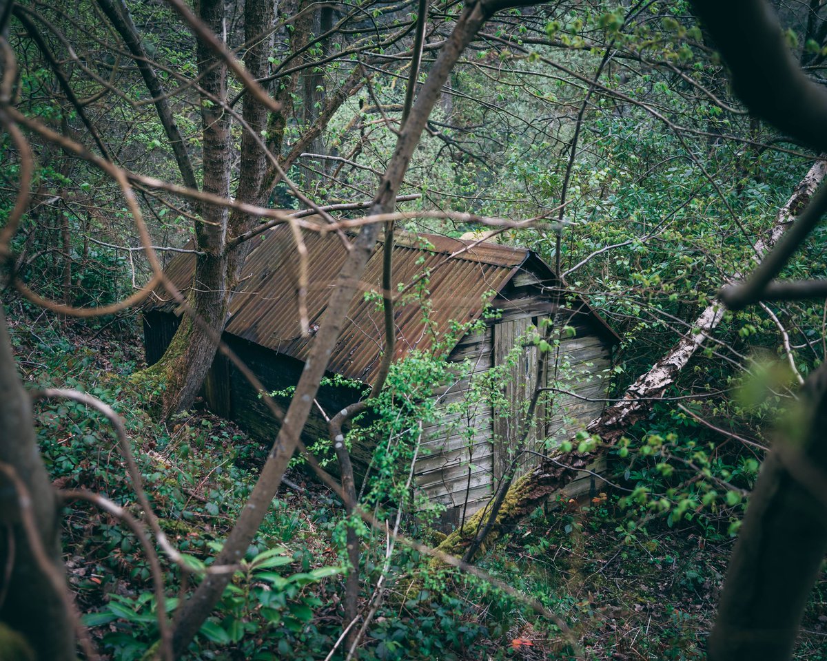 Lee Gale tweet media