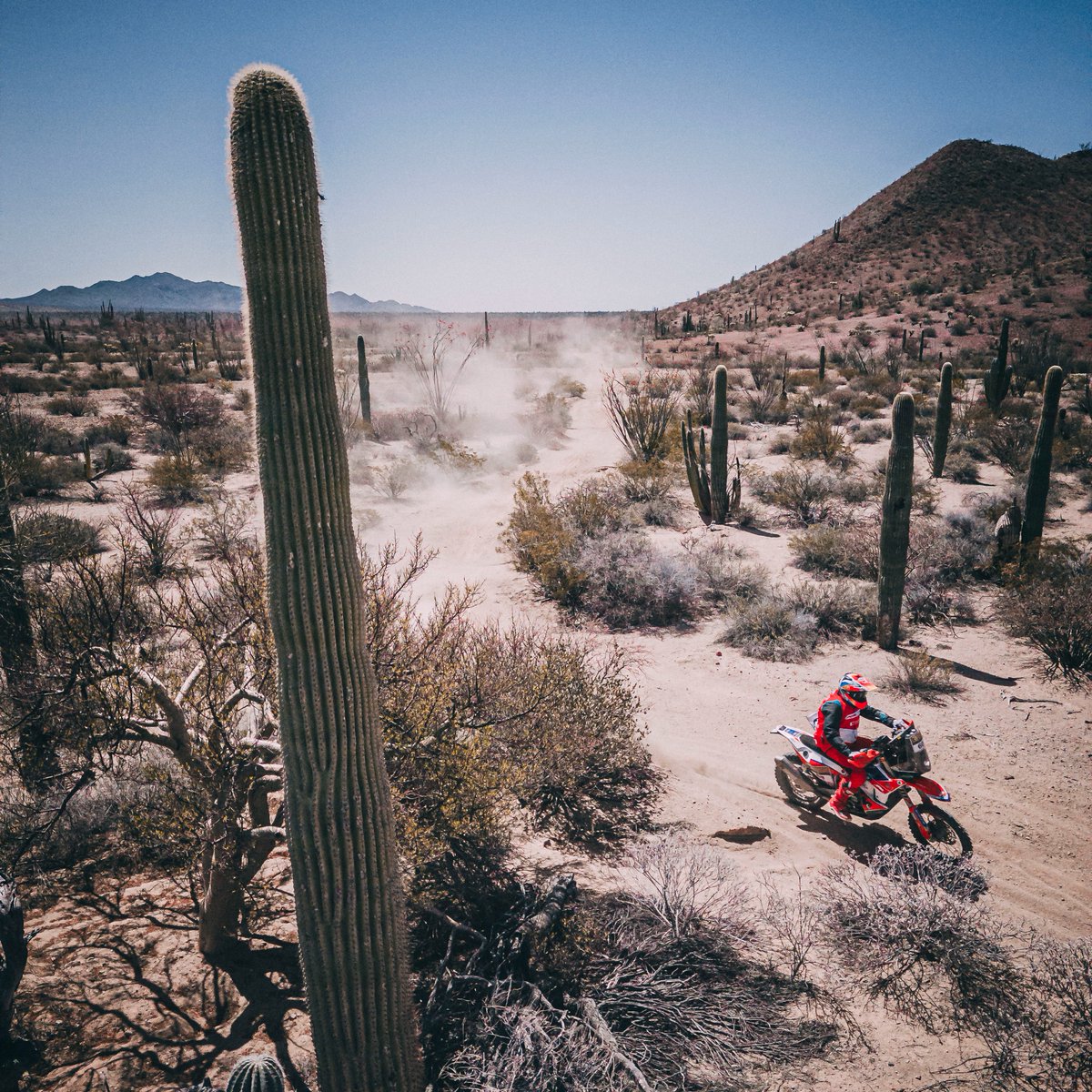 World Rally-Raid Championship 🚗 🏍 tweet media