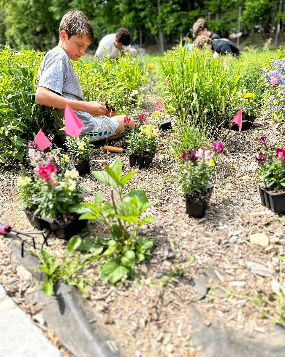 PV_Beekeeping's tweet photo. Our bee club did an amazing job planting some fragrant annual flowers to our pollinator garden. The bees were very happy 🐝 🌸🌺 https://t.co/NrfA5JCYrR