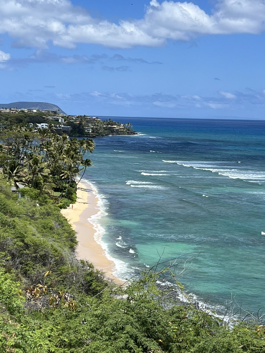 今日も天気最高です