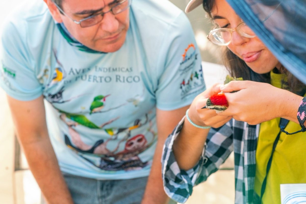 BirdsCaribbean's tweet photo. In today’s blog we head to #Cuba 🇨🇺  with Daniela Puerto  as she recounts her exciting #journey to becoming a NABC certified #bird bander 🎓 https://t.co/ejnYXXNdyu

@dv_puerto @BirdingEastCuba @AMA_CUBA @hmg_ornithology
@turpial2000
#HumansOfBirdsCaribbean #BirdBanding https://t.co/X3KOdMZx0a