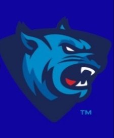 RustTennisMW's tweet photo. We are looking for men and women Tennis players who wants to be a Rust College Bearcat https://t.co/w1ysYnalPx