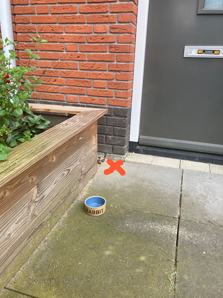 We hebben al tijden een waterbakje voor Kees voor de deur staan.
Dat bakje staat normaal op de aangegeven plek. 
Sinds enkele dagen verplaatst ie steeds een stuk naar voren ‘s nachts.
Vannacht hoorde ik ‘m daadwerkelijk over de tegels schuiven maar was er niets te zien🥹