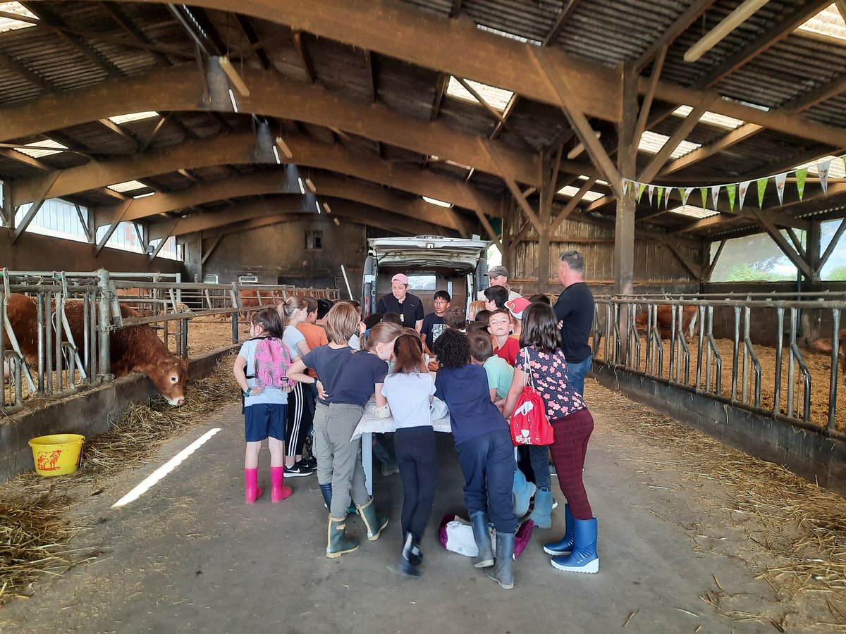 BihanMartial's tweet photo. Aujourd'hui journée made in viande à la ferme #raceaviande
#ceuxquifondlaviande #limousine
#viandedequalite @GaecDelaria @interbev @MarineFDSEA56 https://t.co/DEnJlvQGXZ