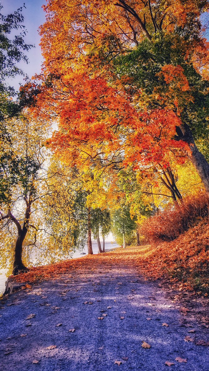 janisphotos's tweet photo. Hello!👋

Share your colorful photos below.🔴🟠🟡🟢🔵

Please retweet this post to get more exposure🔄

thank you and have a nice day! 😀

#photography #PhotographyIsArt #colorful https://t.co/zHiNFuqH6q