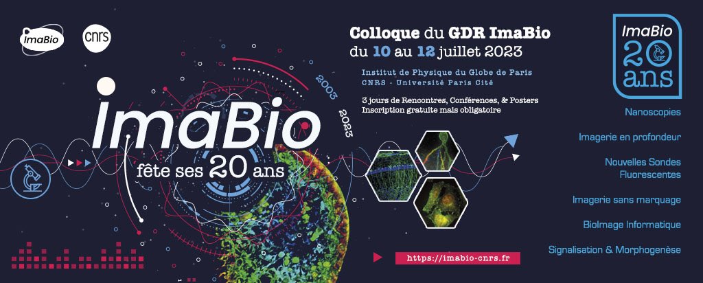 Danglot (@lydiadanglot) on Twitter photo We are celebrating the 20 years birthday or our French research group on advanced microscopy <a href="/GDR_ImaBio/">GDR ImaBio</a> in Paris - July 10-12th. If you want to join this fantastic events for free, please register here :
imabio-cnrs.fr/20-ans-deja/ We are celebrating the 20 years birthday or our French research group on advanced microscopy <a href="/GDR_ImaBio/">GDR ImaBio</a> in Paris - July 10-12th. If you want to join this fantastic events for free, please register here :
imabio-cnrs.fr/20-ans-deja/