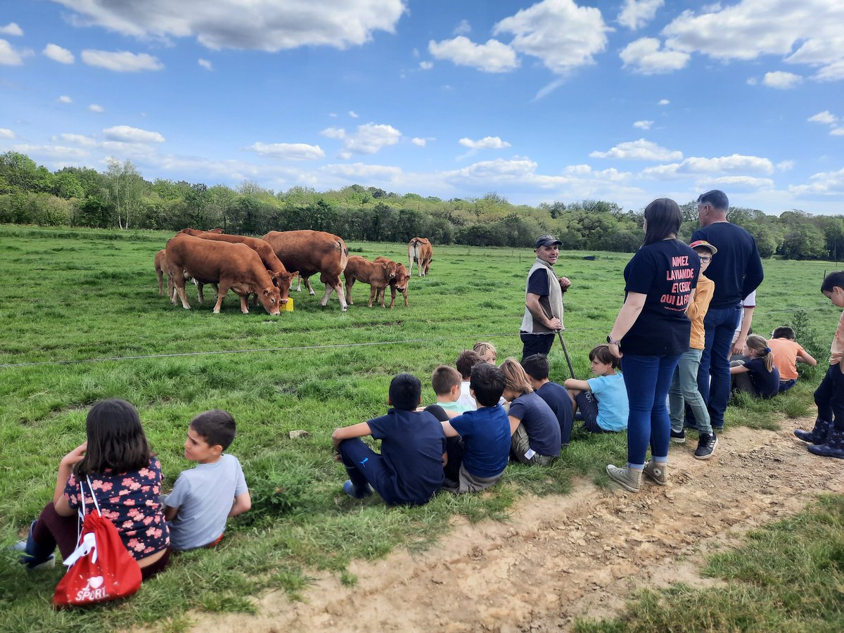 BihanMartial's tweet photo. Aujourd'hui journée made in viande à la ferme #raceaviande
#ceuxquifondlaviande #limousine
#viandedequalite @GaecDelaria @interbev @MarineFDSEA56 https://t.co/DEnJlvQGXZ