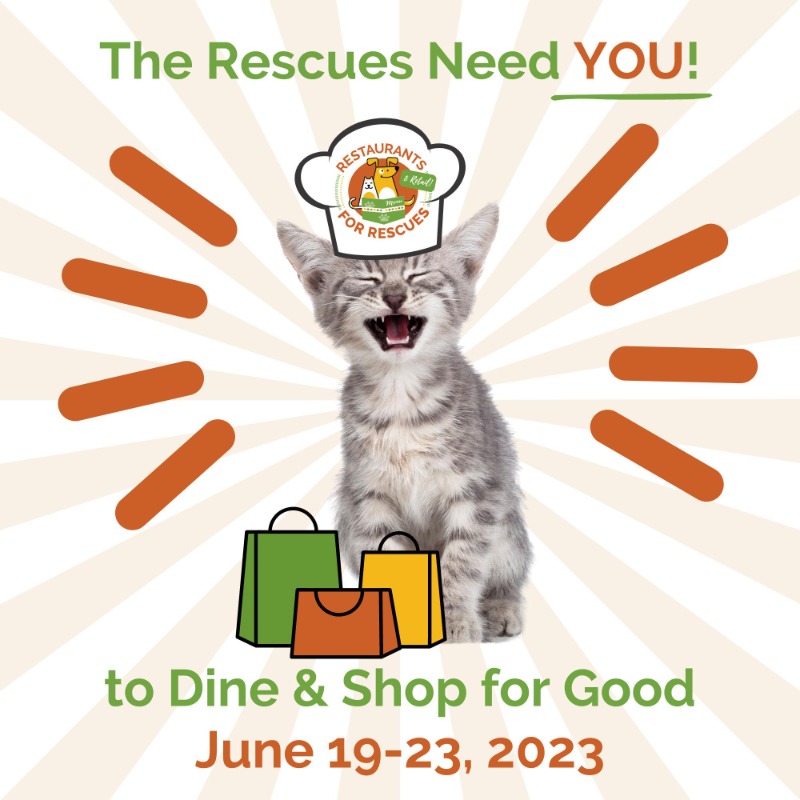 HSNEGA's tweet photo. Restaurants for Rescues is a week of restaurants giving back to save lives. This year's Restaurants for Rescues will take place June 20-25, 2022. If you are interested in PAWticipating please reach out to Kevin at KWells@HSNEGA.org or sign up here: https://t.co/TiBwQ2V3Nr https://t.co/MKiGwKQtBR