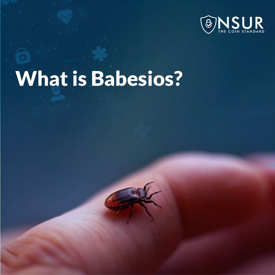🐦 "Dive into our latest blog post on #Babesiosis, a tick-borne infection that's more common than you might think. 

Learn about its causes, symptoms, and the potential risks it poses. 

Knowledge is power, especially when it comes to your health. 👉 blog.nsurcoin.com/understanding-…