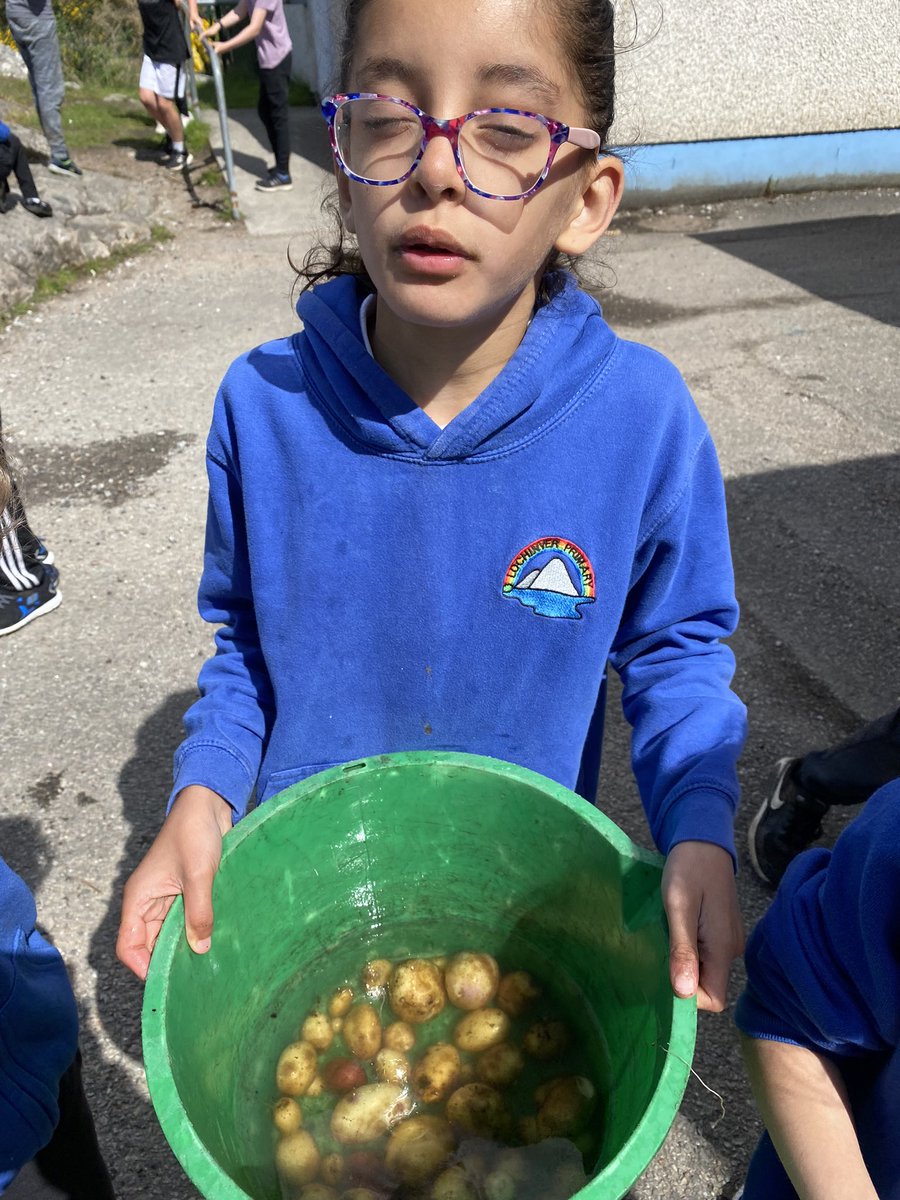 Lunchtime gardening club. Preparing for sowing and we found lots of carrots and potatoes from last season, need to make sure we harvest everything this year. #GardeningClub #assynt
