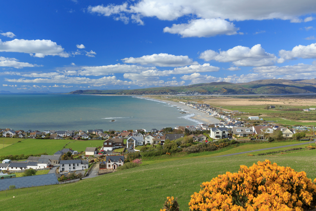 Ceredigion Council tweet media