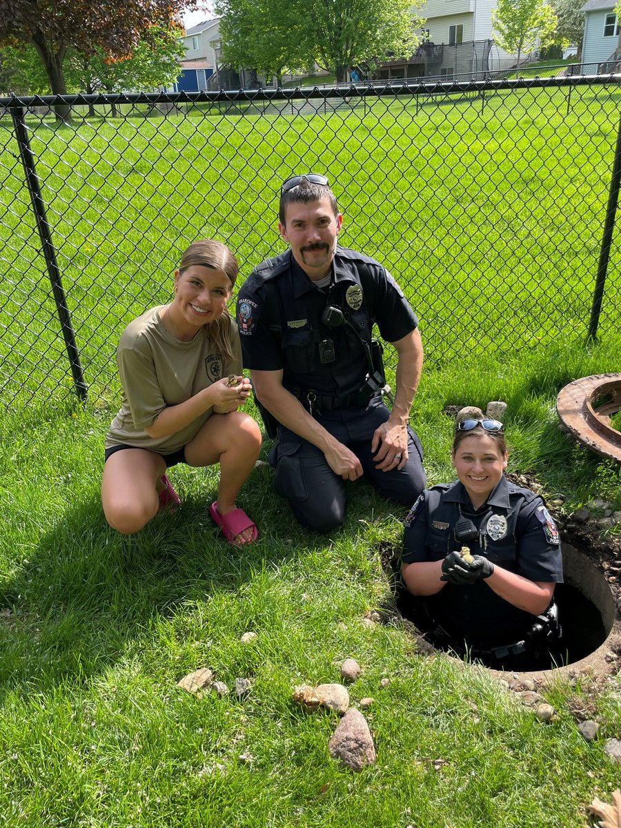 Our officers made a spec-quack-ular rescue yesterday to save some ducklings that had fallen into a storm sewer. We care for all of our residents, even the ones with feathers. 🦆 

Nice work, Officer O’Keefe and Officer Stockmann!