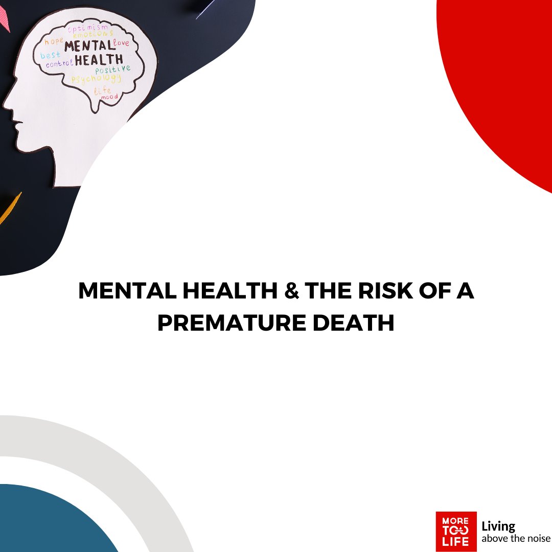 @realmoretoolife tweet media