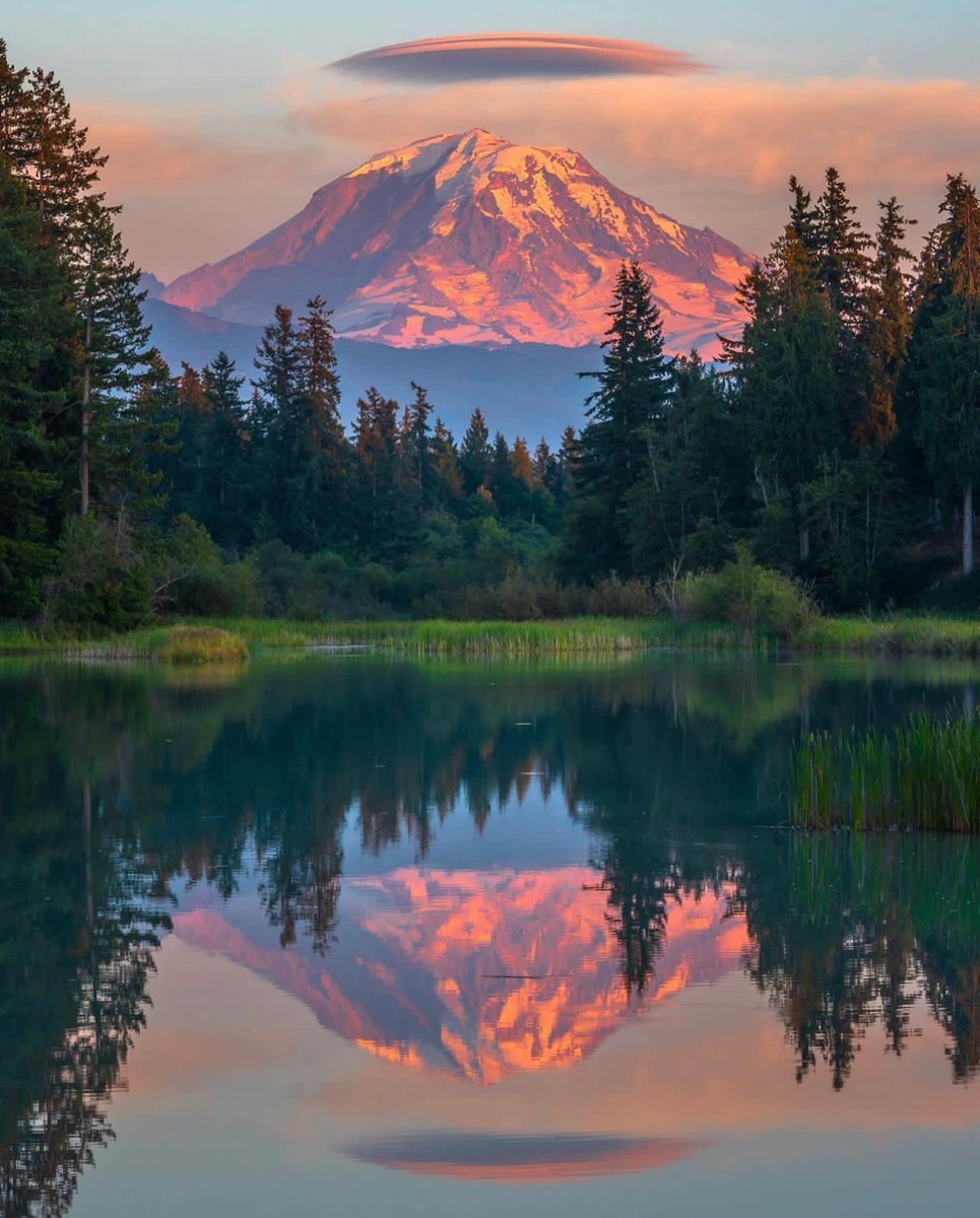 travellazoCOM's tweet photo. Mount Rainier National Park https://t.co/JZCXiwWAQ8