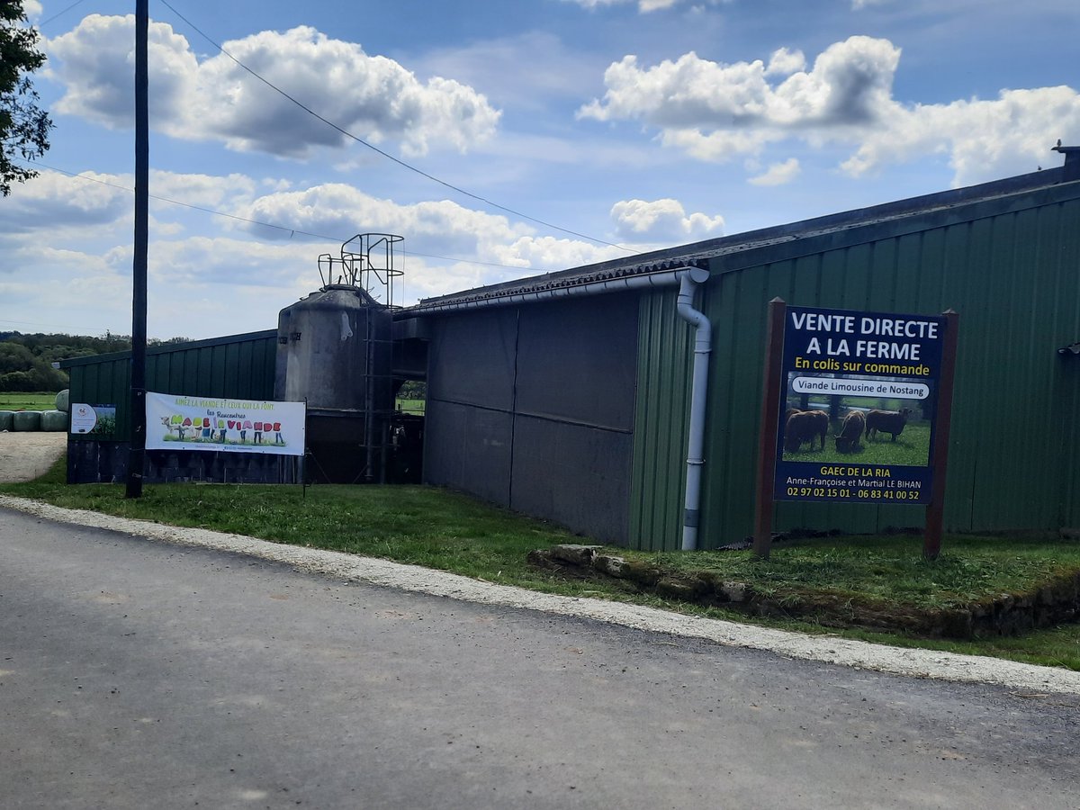 BihanMartial's tweet photo. Aujourd'hui journée made in viande à la ferme #raceaviande
#ceuxquifondlaviande #limousine
#viandedequalite @GaecDelaria @interbev @MarineFDSEA56 https://t.co/DEnJlvQGXZ