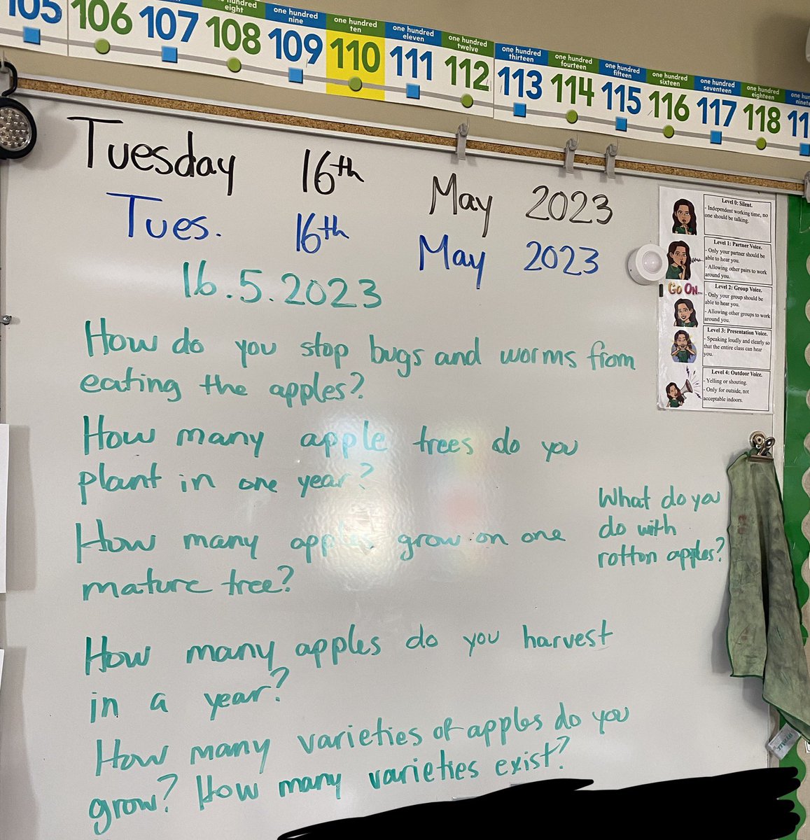 HNicholsonT1's tweet photo. Our class had lots of fun learning about apples this morning. It was the first time we could tune in live! Our class had lots of questions for the apple farmer 🍎🍏  #GCFT23Contest https://t.co/8H5iNTerd6