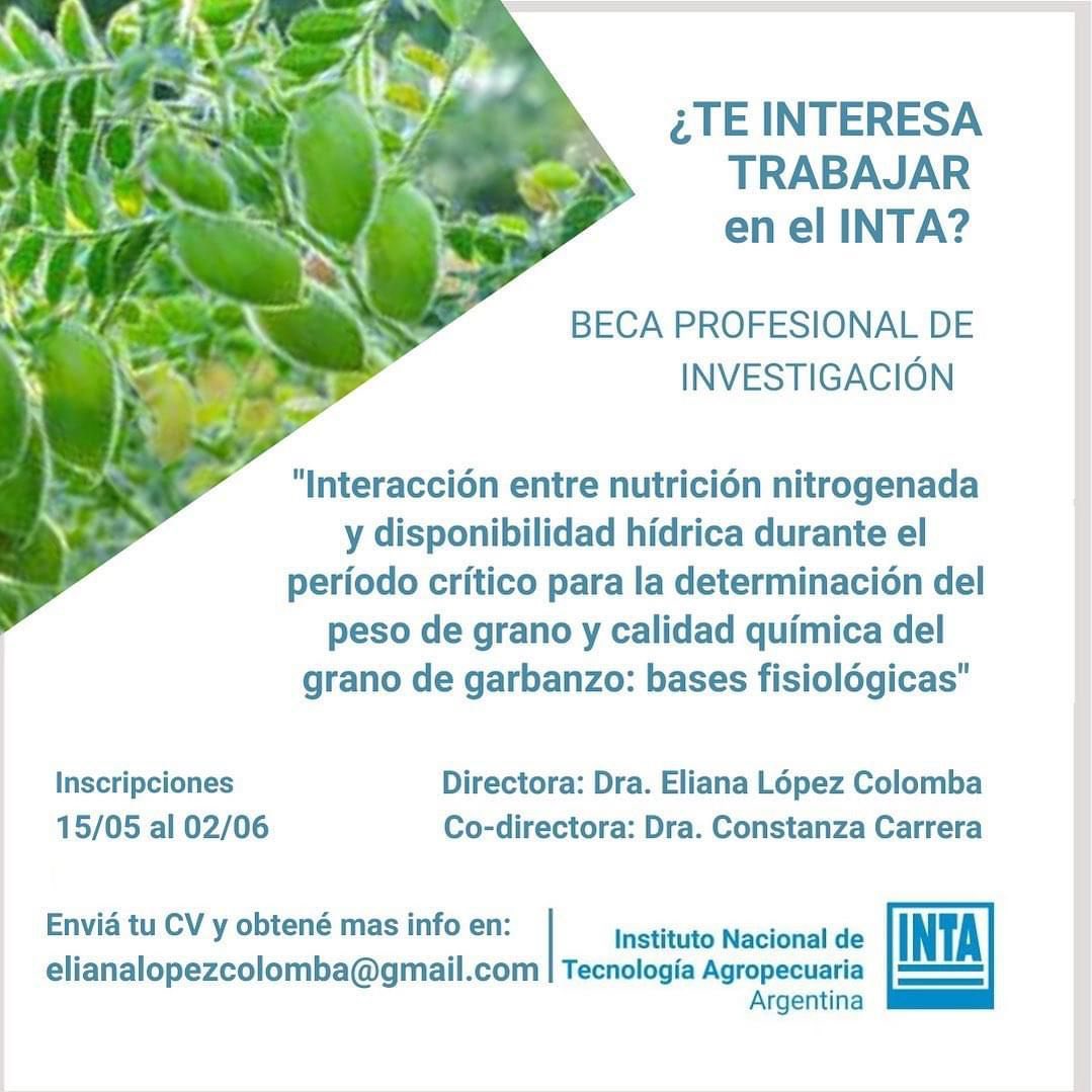 Queres formar parte de nuestro equipo y hacer tu doctorado en Ecofisiologia Vegetal? No te pierdas esta oportunidad 👇