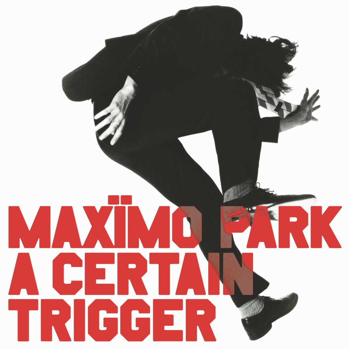 Maximo Park tweet media