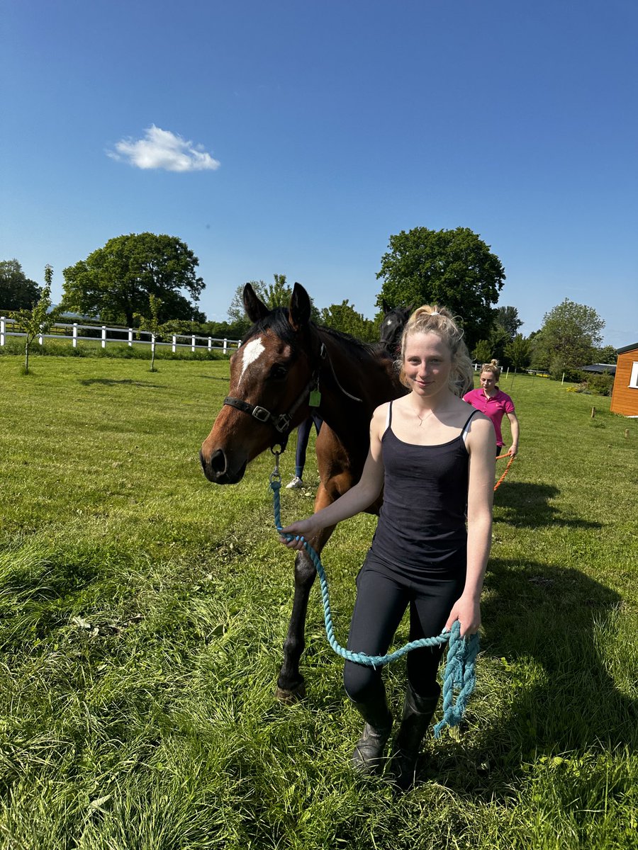 alexdunn_racing's tweet image. Cinnamon being led out into her paddock #2yo #summer #racing #racehorse