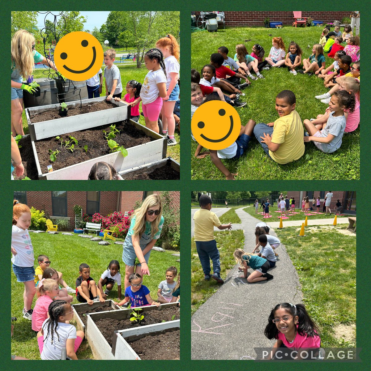 Mrs. S's 1st Graders tweet media