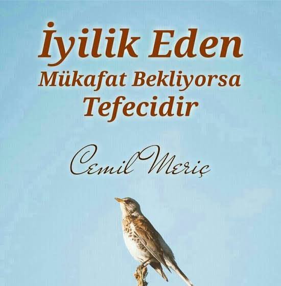 İyilik eden, mükafat bekliyorsa tefecidir.

Cemil Meriç