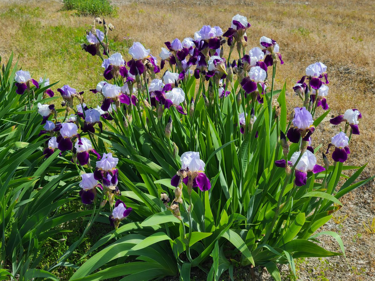 rPNSMtRkf5BP4qZ's tweet image. おはよう👋😃☀️