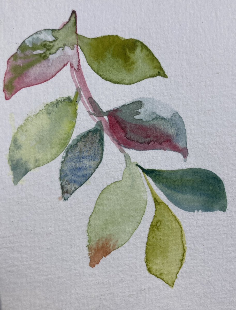 Art Branches tweet media