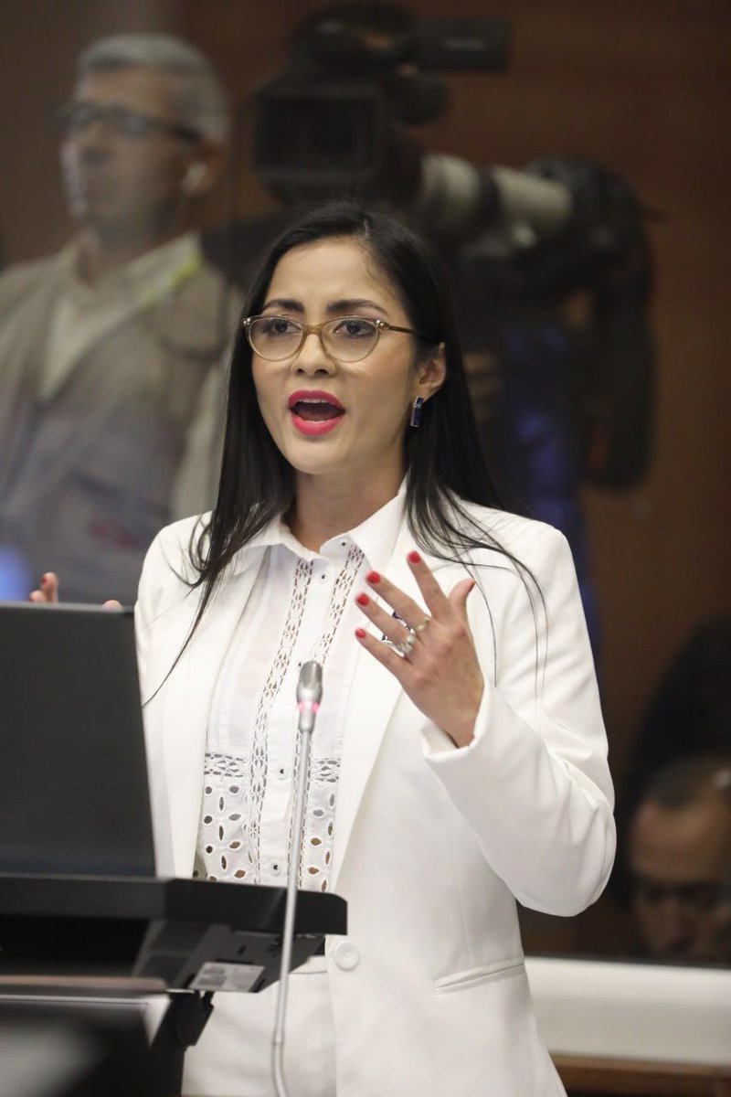 CANSantoDomingo's tweet photo. 🔴#JuicioPolítico | La As. @VivianaVeloz18 en la réplica señala: "Presidente Lasso yo no le acuso es el pueblo el que le acusa a usted, y no ha podido desvirtuar las pruebas presentadas desde enero 2023" https://t.co/ZHJLKG3IMg