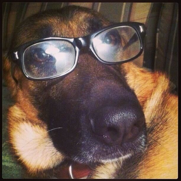 coldwateronline's tweet photo. Tuesday May 16th Coldwater will be closed between 11:30am and 1Pm For a staff Lunch and Learn... Don't worry Our speaker is Odin and will be making sure we all learn new things to help your Fur Babies... We look forward to seeing everyone at 1pm..... https://t.co/2AqPYfs7G7