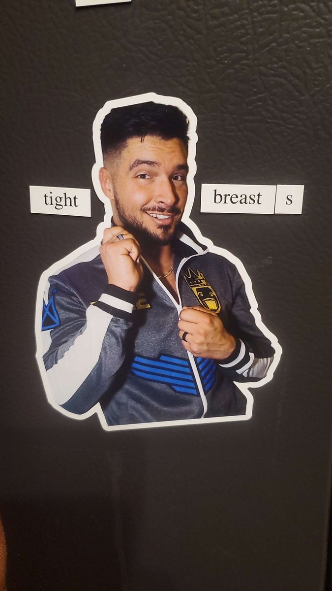 SheerStarDesign's tweet image. Thanks, @OfficialEGO, for the fun merch stuffs! My husband has rearranged the fridge magnets for you! Sorry, we didn't have "tits" 🤣🤣