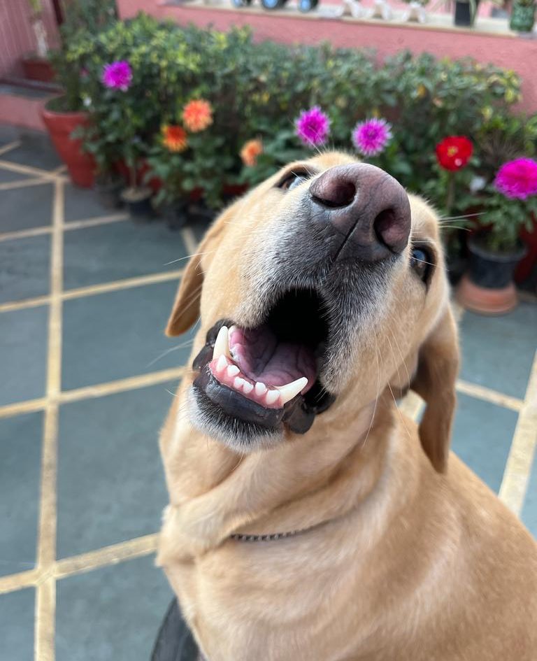 tslifetime's tweet photo. The prettiest flower of them all… my Oliver ♥️ https://t.co/pe6tJ5BYuP