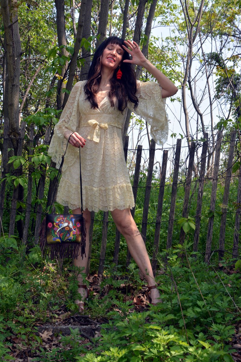 #1960's #inspired #photos by Albert Albanese #lace #fluttersleeve #dress #handpainted #purse