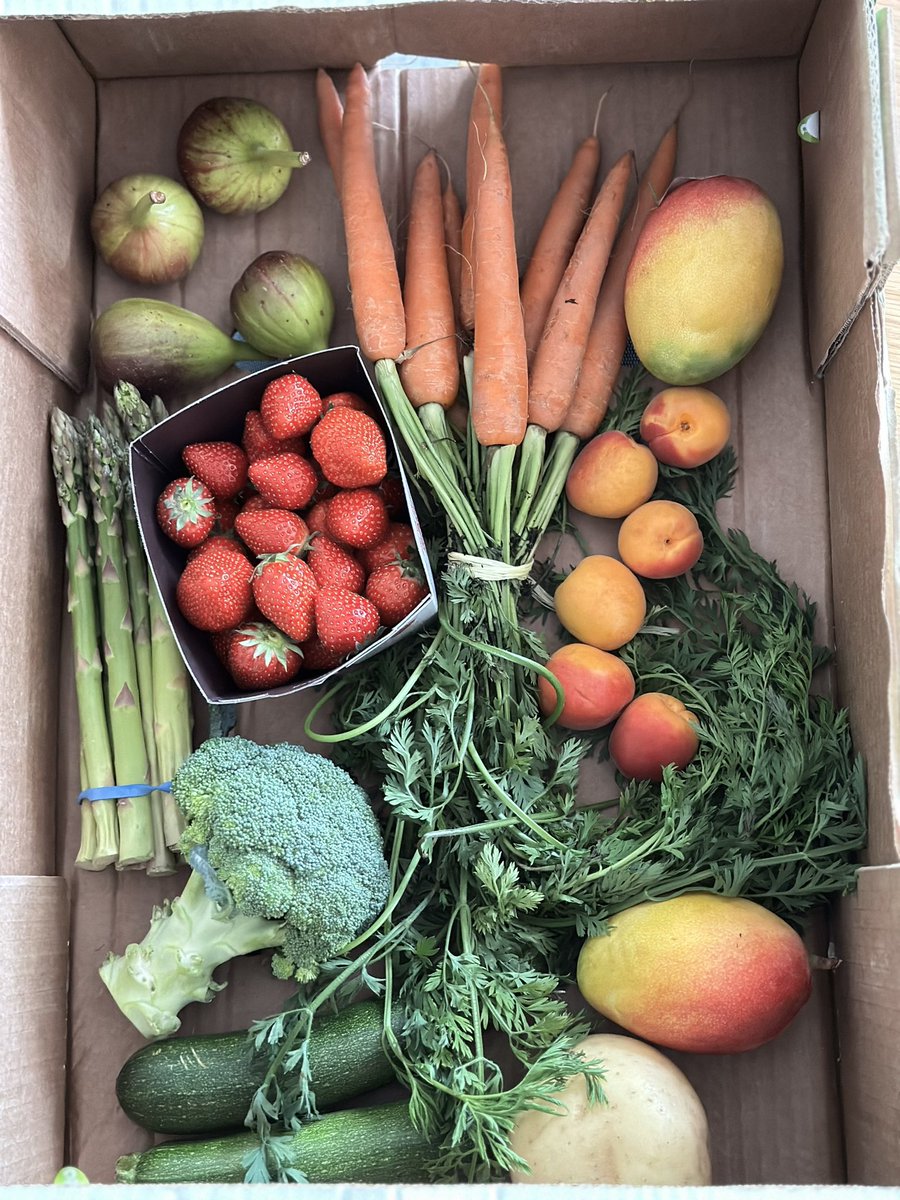 zanzaneet's tweet photo. Fruit’n’veg I bought from a local farm shop last weekend. Lovely to see #plasticfree strawberries and fresh apricots. Still eating loads of asparagus! 

#fruitnveg #weeklyshop #foodsustainbility https://t.co/6yCvsM7Kf7