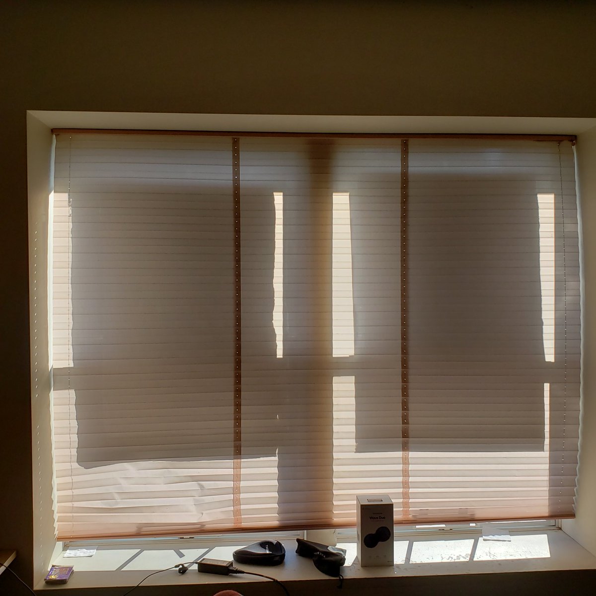 Kate Choi tweet media