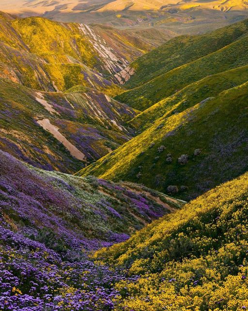 M8 Studio - WE❤EDM! tweet media