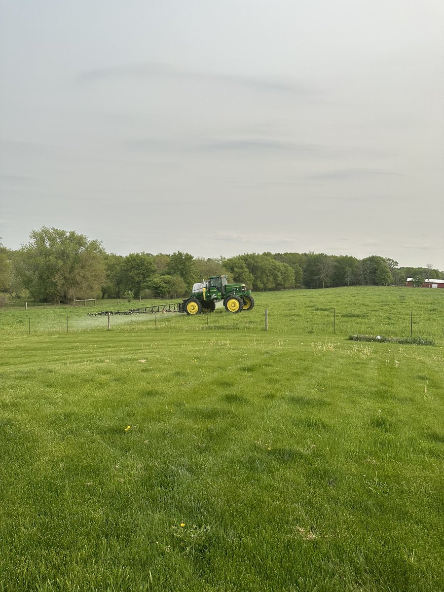 leahmindy's tweet image. Bring on greener pastures! #InGrained #GrazonNext #CowChow