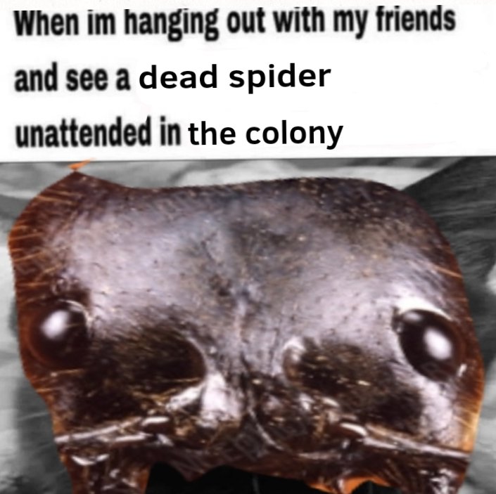 AntPosting (@antpositing) on Twitter photo 