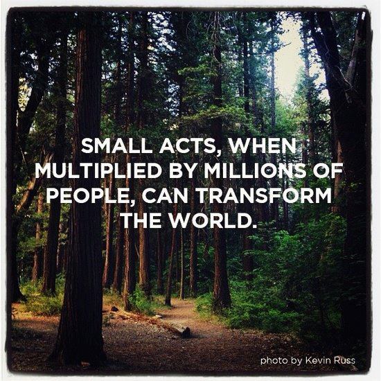 Greenpeace's tweet photo. Just a friendly reminder 💚

Take action >> https://t.co/ajuMEd2obd https://t.co/8oiIeYjei1